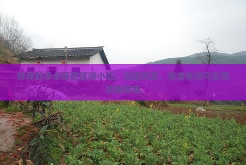 蚌埠到西藏羊卓雍措旅游小吃