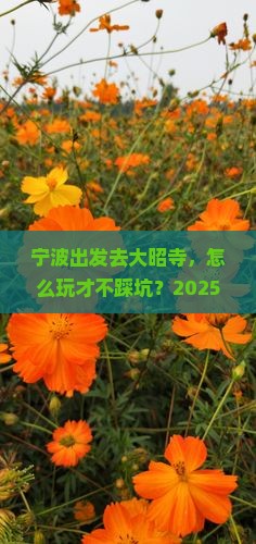 宁波到西藏大昭寺景点