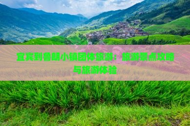 宜宾到西藏鲁朗小镇团体旅游