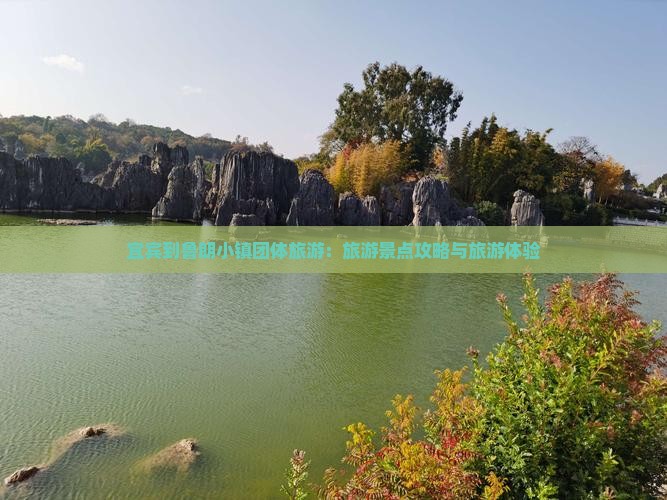 宜宾到西藏鲁朗小镇团体旅游