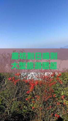 廊坊到西藏日喀则大型旅游团