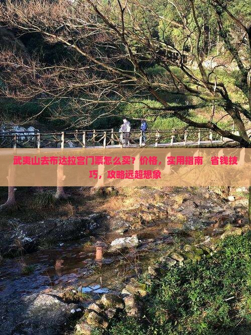 武夷山去西藏布达拉宫门票