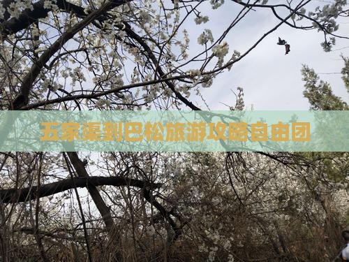 五家渠到西藏巴松措自由团