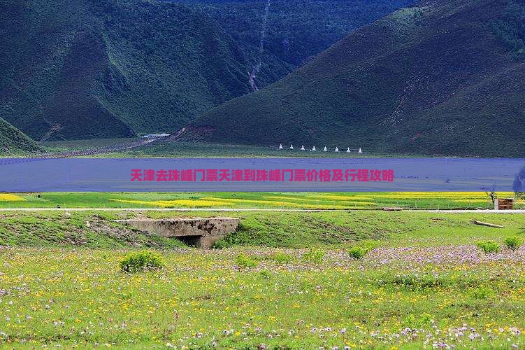 天津去西藏珠峰大本营门票