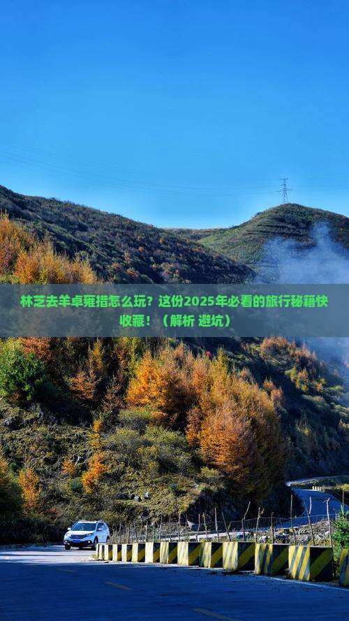 林芝到西藏羊卓雍措景点
