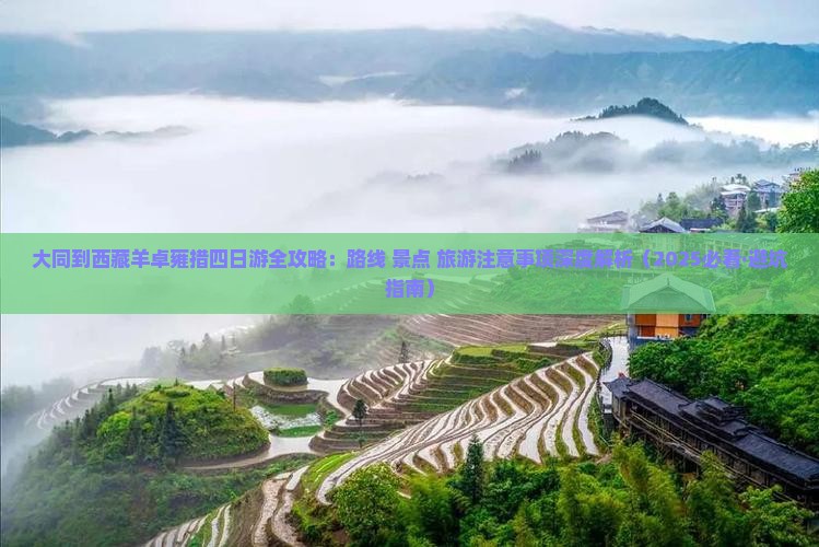 大同到西藏羊卓雍措四日游