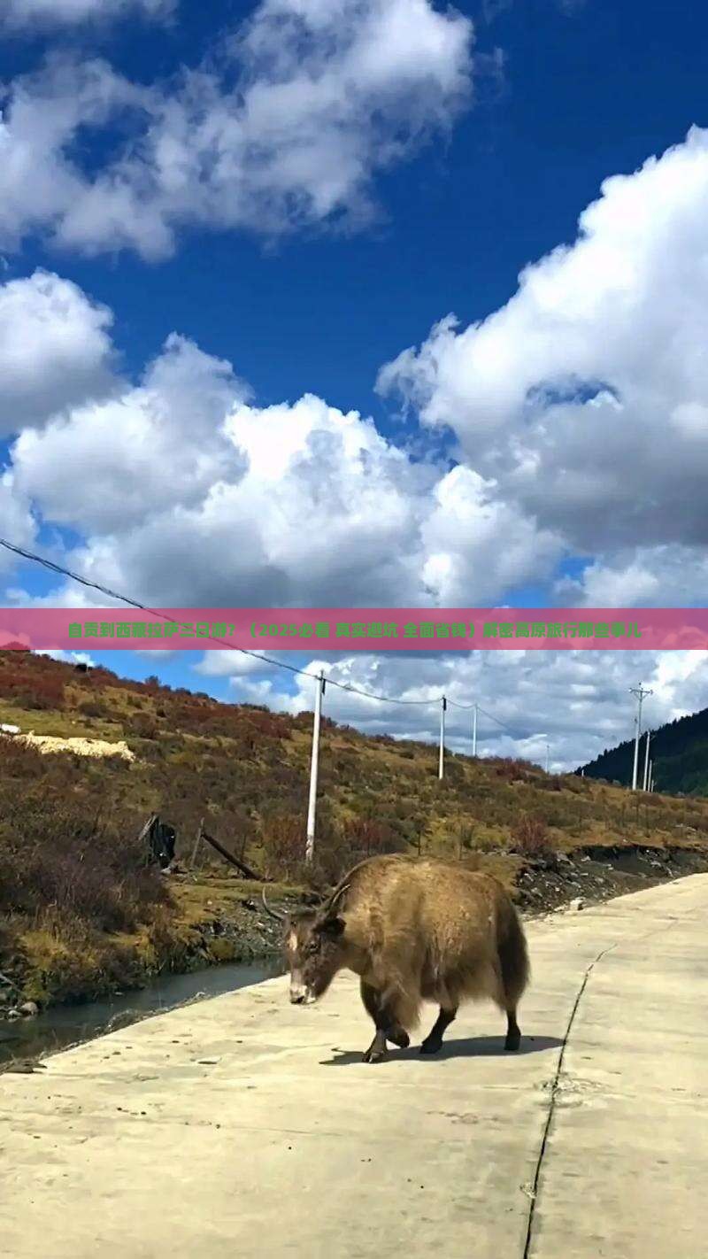自贡到西藏拉萨三日游