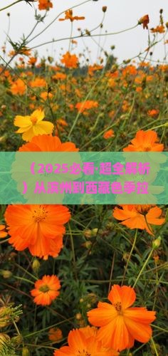 滨州到西藏色季拉山大型旅游团