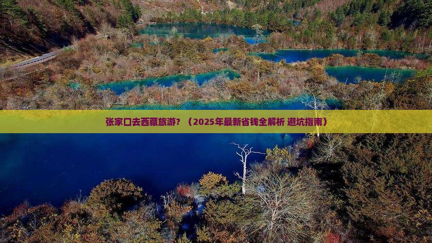 张家口去西藏旅游