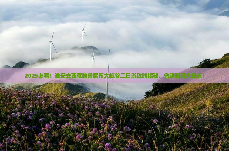 淮安去西藏雅鲁藏布大峡谷二日游
