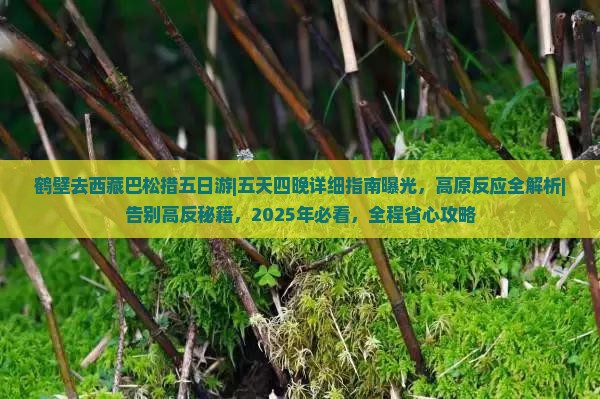 鹤壁去西藏巴松措五日游