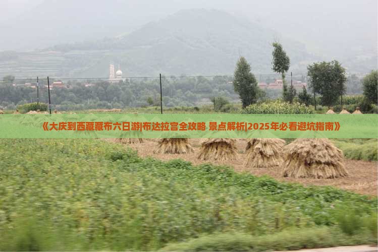 大庆去西藏布达拉宫六日游
