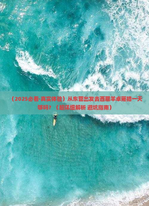 东营到西藏羊卓雍措一日