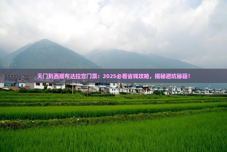 天门到西藏布达拉宫门票