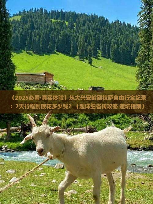 大兴安岭去西藏拉萨自由团