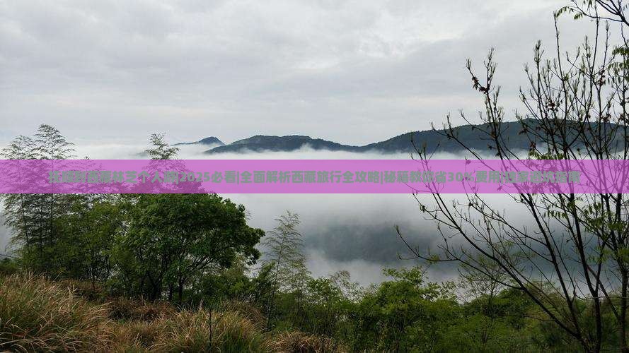 抚顺到西藏林芝个人游