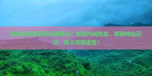 廊坊去西藏巴松措哪里玩