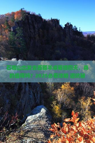 石嘴山去西藏羊卓雍措四日游