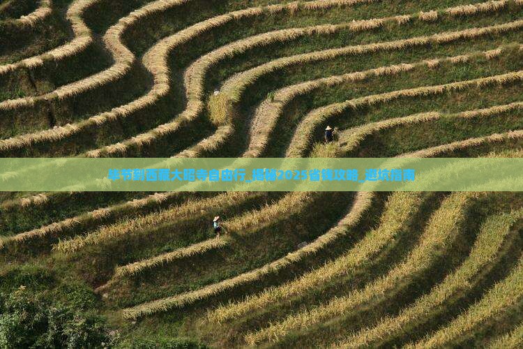 毕节到西藏大昭寺自由行