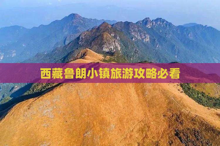 白山到西藏鲁朗小镇攻略