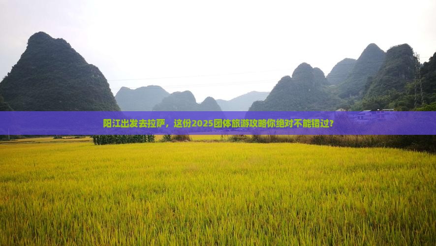 阳江去西藏拉萨团体旅游