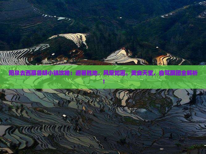 阳泉去西藏鲁朗小镇攻略