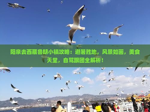 阳泉去西藏鲁朗小镇攻略