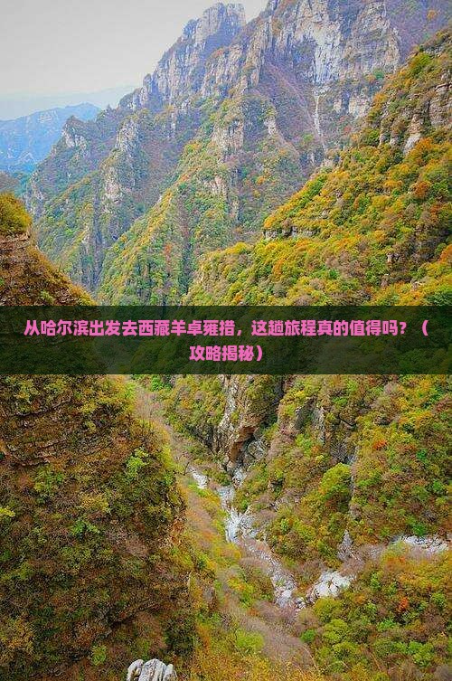 哈尔滨去西藏羊卓雍措景点