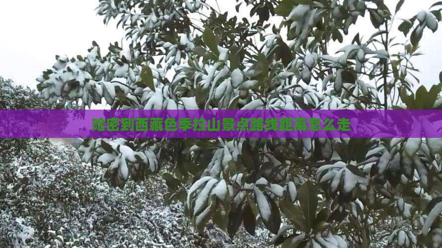 哈密到西藏色季拉山景点