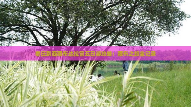 枣庄到西藏布达拉宫五日游