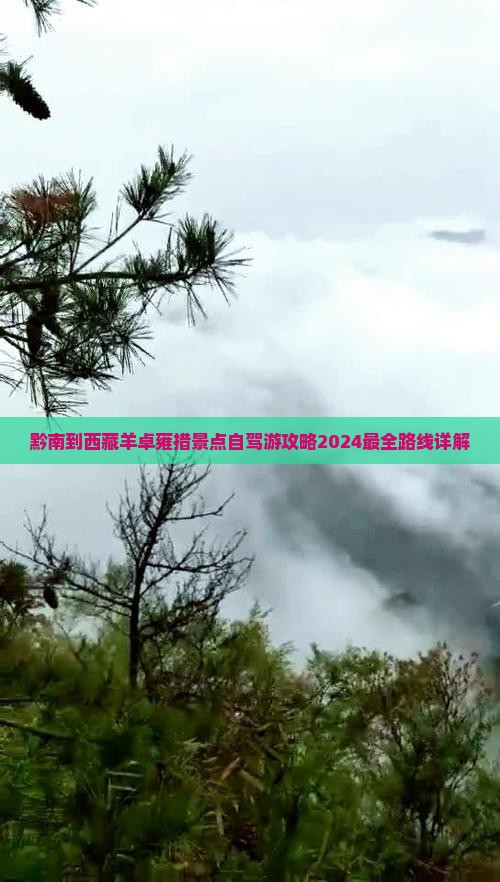黔南到西藏羊卓雍措景点