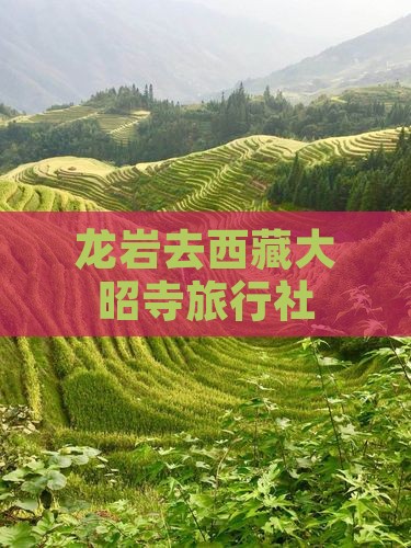 龙岩去西藏大昭寺旅行社