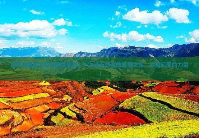 德阳去西藏大昭寺团体旅游
