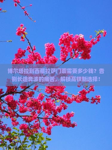 博尔塔拉到西藏拉萨门票