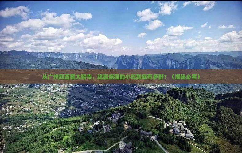 广州到西藏大昭寺旅游小吃