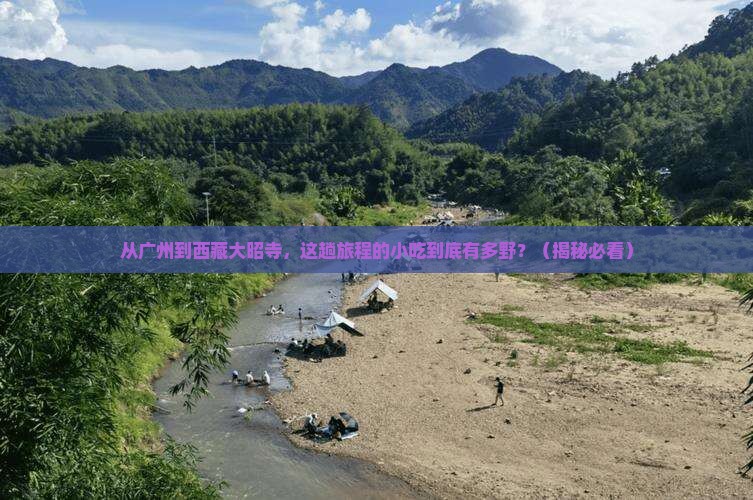 广州到西藏大昭寺旅游小吃