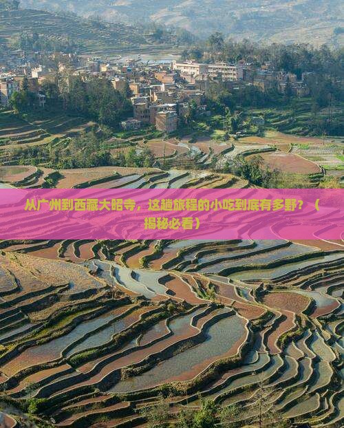 广州到西藏大昭寺旅游小吃