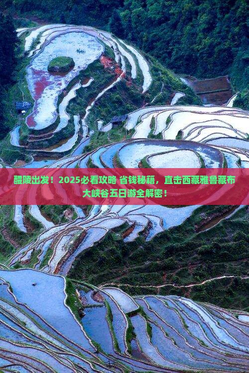 醴陵到西藏雅鲁藏布大峡谷五日游