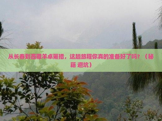 长春去西藏羊卓雍措攻略