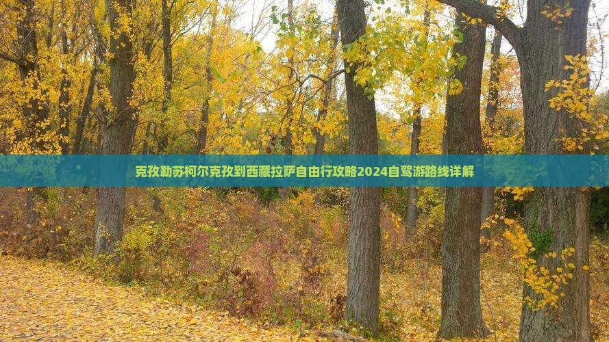 克孜勒苏柯尔克孜到西藏拉萨自由行