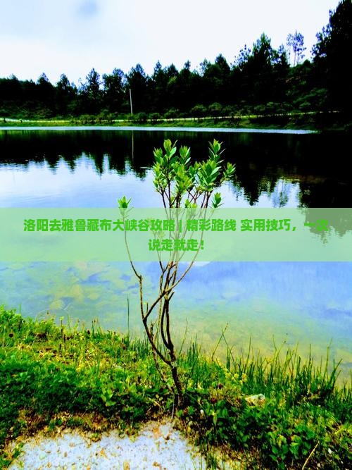洛阳去西藏雅鲁藏布大峡谷攻略