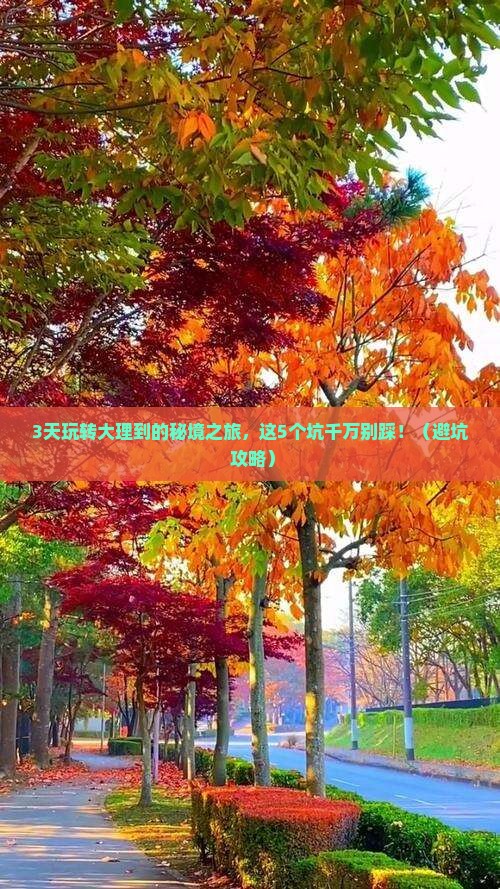 大理到西藏旅行社