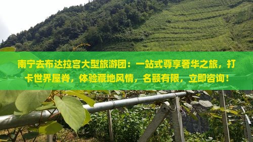 南宁去西藏布达拉宫大型旅游团