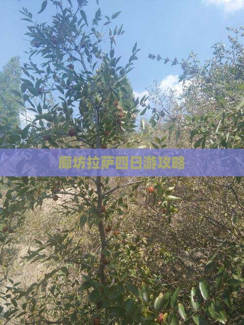 廊坊到西藏拉萨四日游