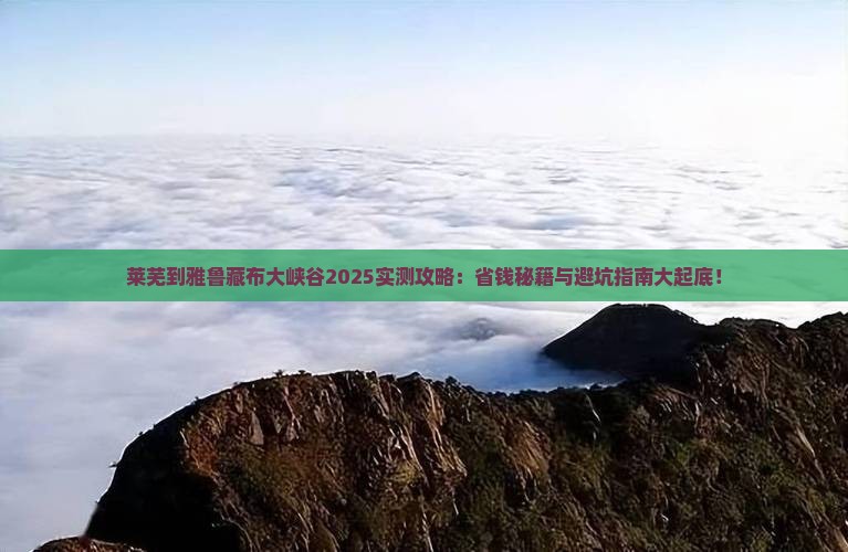 莱芜到西藏雅鲁藏布大峡谷攻略
