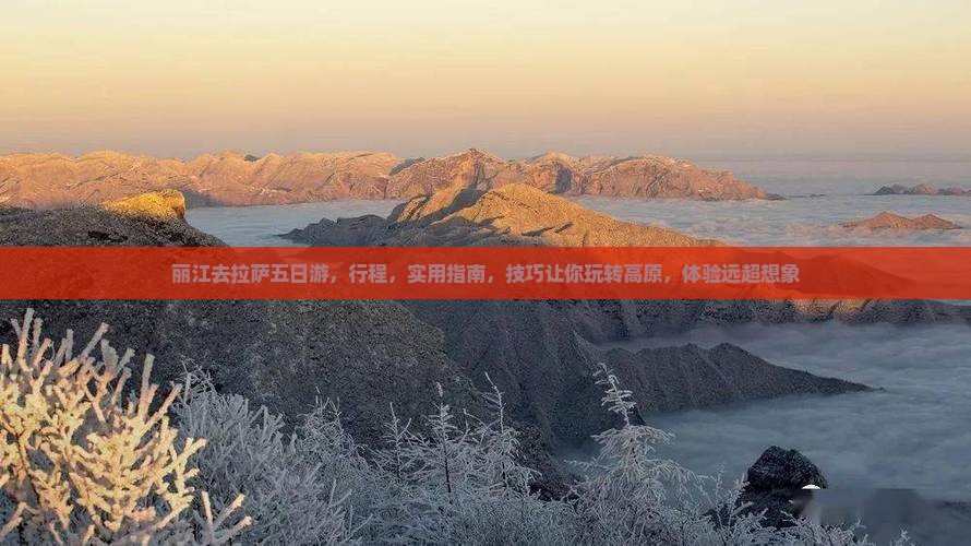 丽江去西藏拉萨五日游