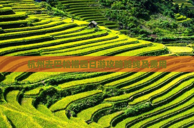 杭州去西藏巴松措四日游