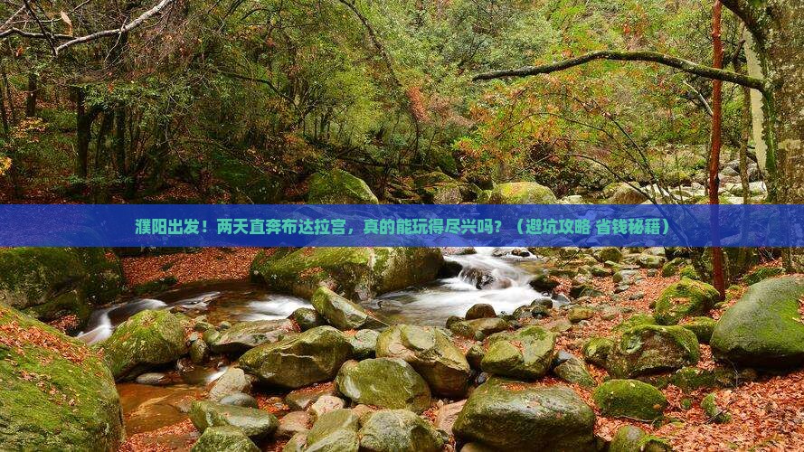 濮阳到西藏布达拉宫二日游