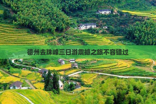 德州去西藏珠峰大本营三日游