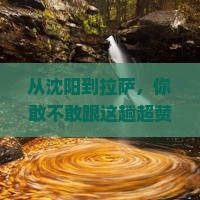 沈阳到西藏拉萨大型旅游团